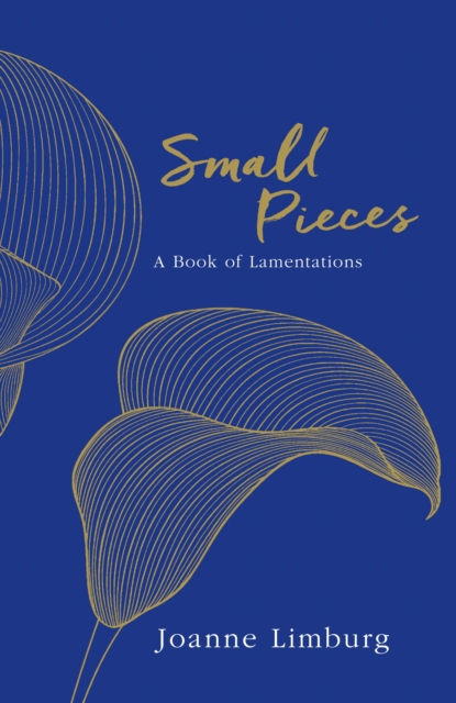 Small Pieces : A Book of Lamentations, Hardback Book