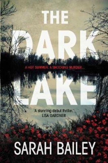 The Dark Lake, Paperback / softback Book