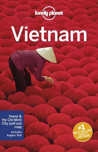Lonely Planet Vietnam, Paperback / softback Book