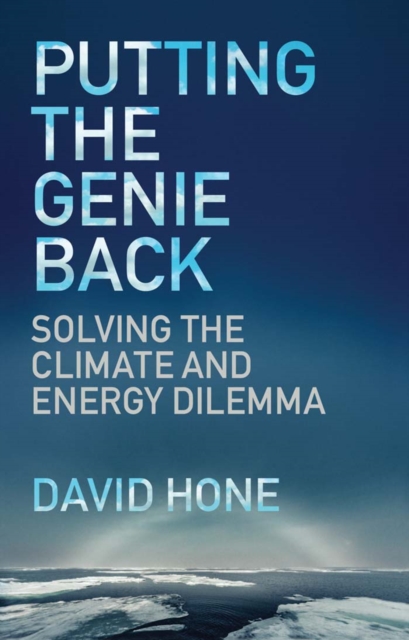 Putting the Genie Back : Solving the Climate and Energy Dilemma, Paperback / softback Book
