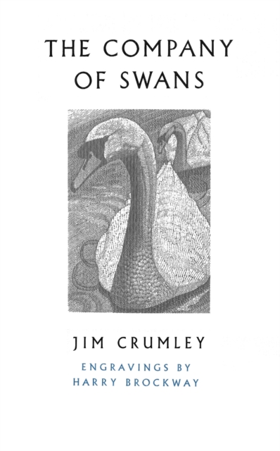 The Company of Swans, Paperback / softback Book