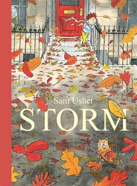 Storm, Hardback Book