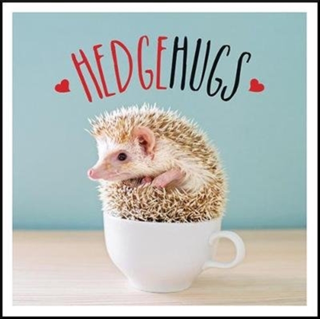 Hedgehugs : A Spike-Tacular Celebration of the World's Cutest Hedgehogs, Hardback Book