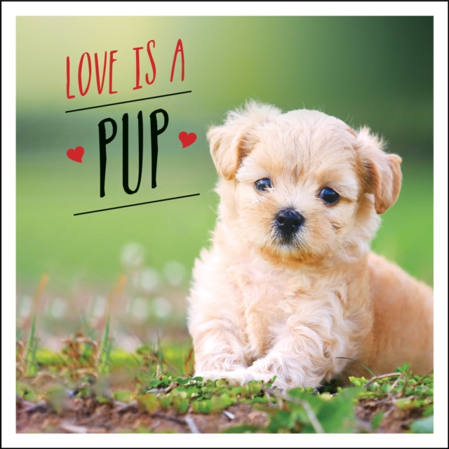 Love is a Pup : A Dog-Tastic Celebration of the World's Cutest Puppies, Hardback Book