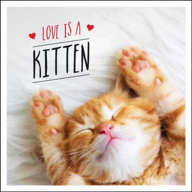 Love is a Kitten : A Cat-Tastic Celebration of the World's Cutest Kittens, Hardback Book