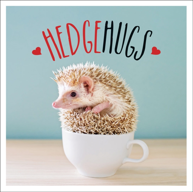 Hedgehugs : A Spike-Tacular Celebration of the World's Cutest Hedgehogs, EPUB eBook