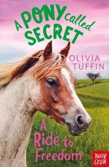A Pony Called Secret: A Ride To Freedom, Paperback / softback Book