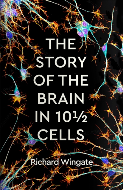 The Story of the Brain in 10½ Cells, Hardback Book