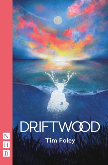 Driftwood (NHB Modern Plays), EPUB eBook