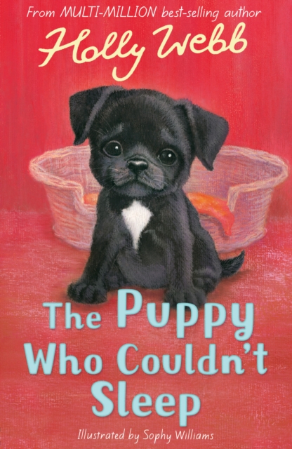 The Puppy Who Couldn't Sleep, Paperback / softback Book