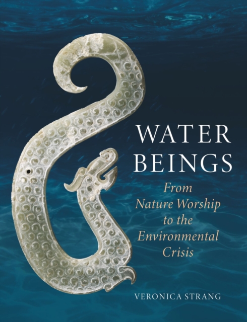 Water Beings : From Nature Worship to the Environmental Crisis, Hardback Book