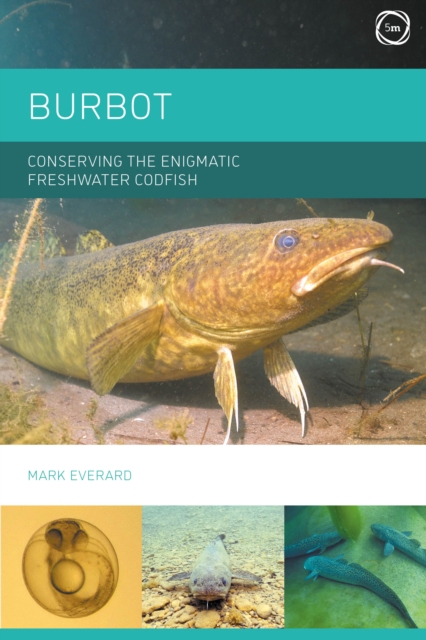 Burbot: Conserving the Enigmatic Freshwater Codfish, Hardback Book