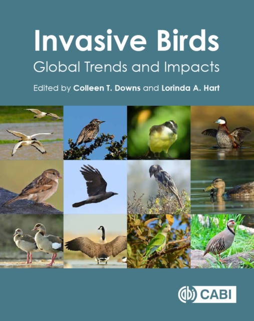 Invasive Birds : Global Trends and Impacts, Hardback Book