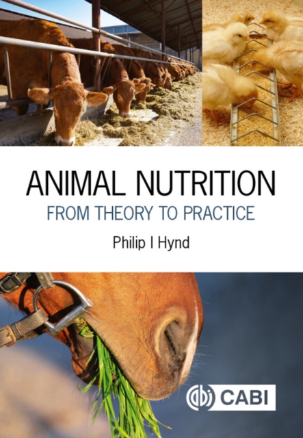 Animal Nutrition : From Theory to Practice, Paperback / softback Book