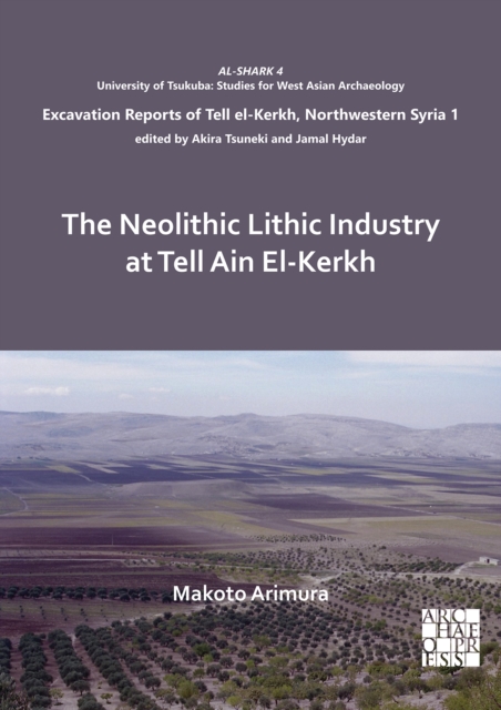 The Neolithic Lithic Industry at Tell Ain El-Kerkh, Paperback / softback Book