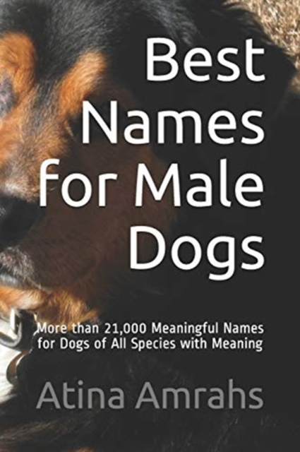 Best Names for Male Dogs : More than 21,000 Meaningful Names for Dogs of All Species with Meaning, Paperback / softback Book