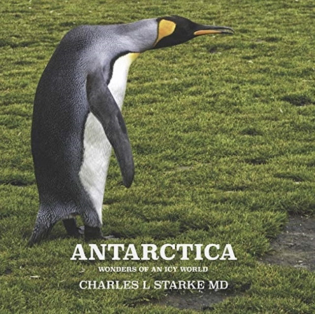 Antarctica : Wonders of an Icy World, Paperback / softback Book