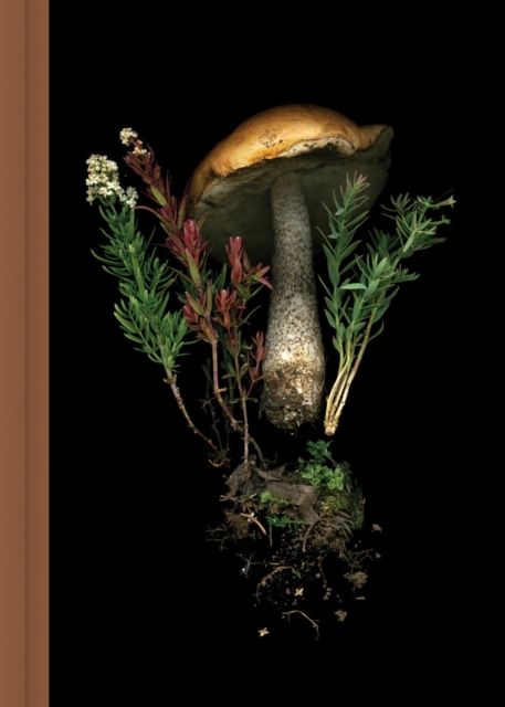 Deep Dark Forest Mushroom Journal, Diary or journal Book