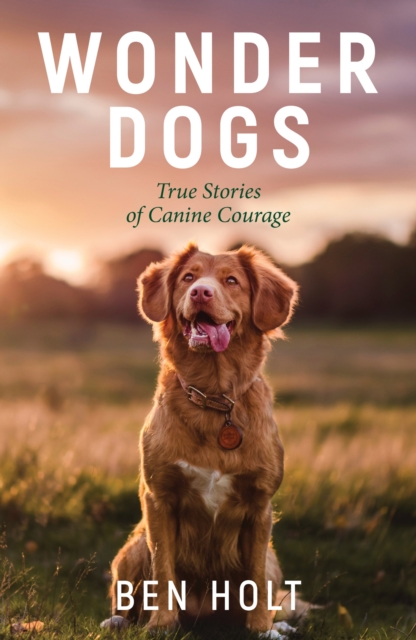 Wonder Dogs : Inspirational True Stories of Real-Life Dog Heroes That Will Melt Your Heart, Paperback / softback Book