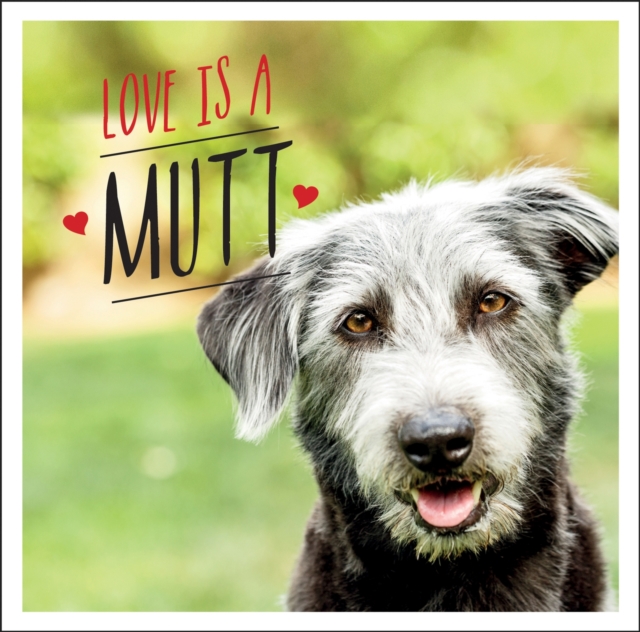 Love is a Mutt : A Dog-Tastic Celebration of the World's Cutest Mixed and Cross Breeds, Hardback Book