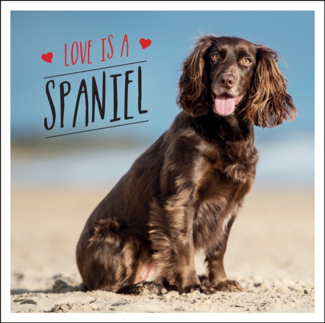 Love is a Spaniel : A Dog-Tastic Celebration of the World's Most Lovable Breed, EPUB eBook