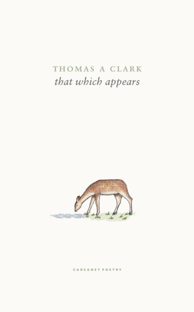 That Which Appears, Paperback / softback Book