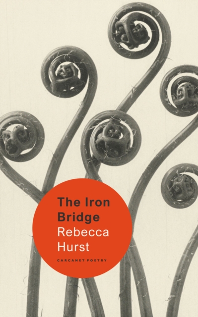 The Iron Bridge, Paperback / softback Book