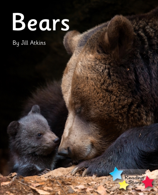 Bears : Phonics Phase 5, PDF eBook