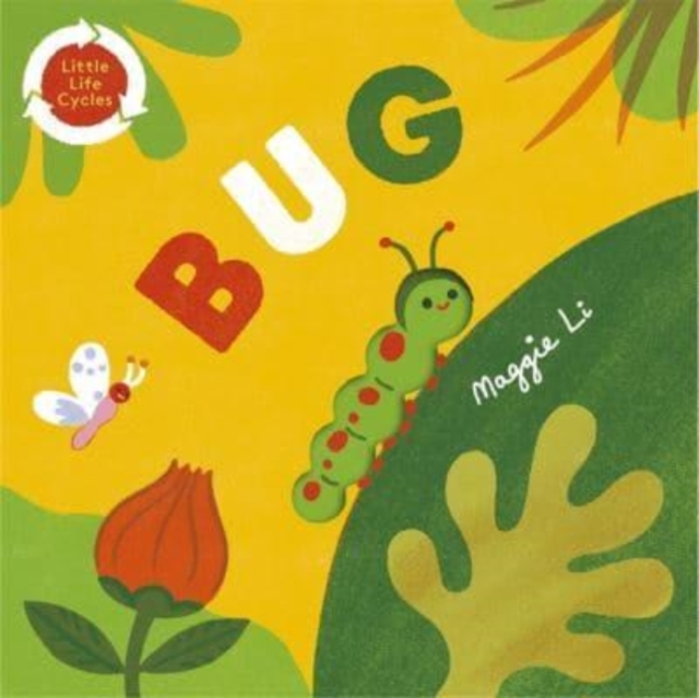Little Life Cycles: Bug, Board book Book