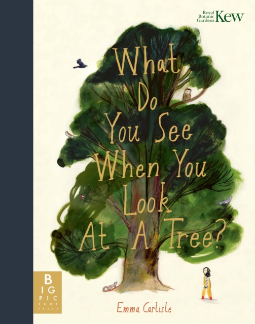 What Do You See When You Look At a Tree?, Hardback Book