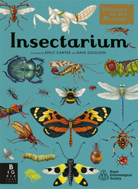 Insectarium, Hardback Book
