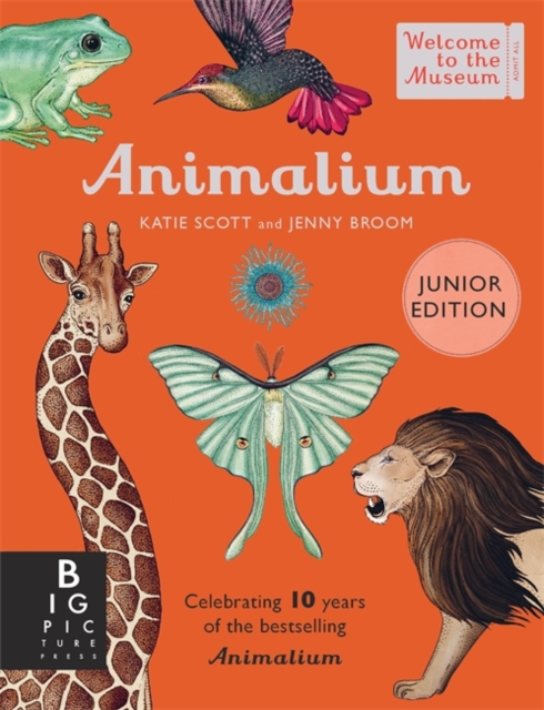 Animalium (Junior Edition), Hardback Book