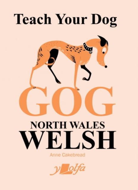 Teach Your Dog Gog : North Wales Welsh, Paperback / softback Book