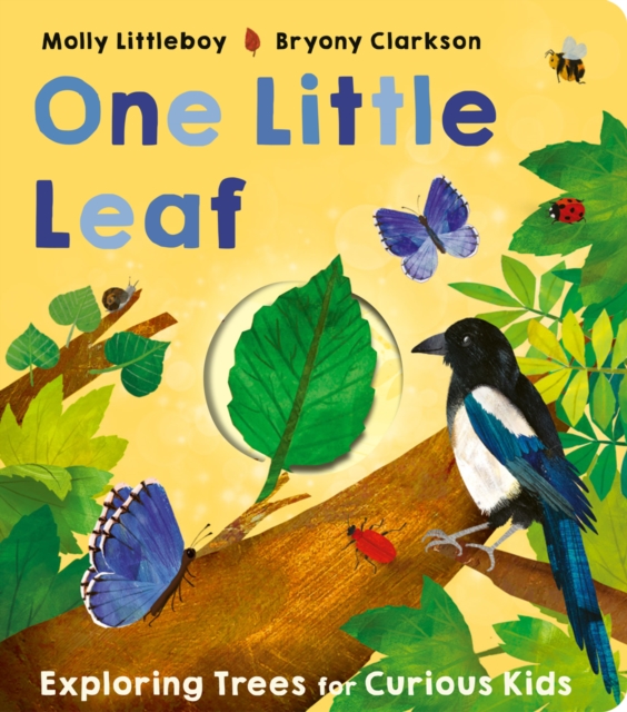 One Little Leaf, Board book Book