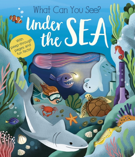 What Can You See? Under the Sea, Board book Book