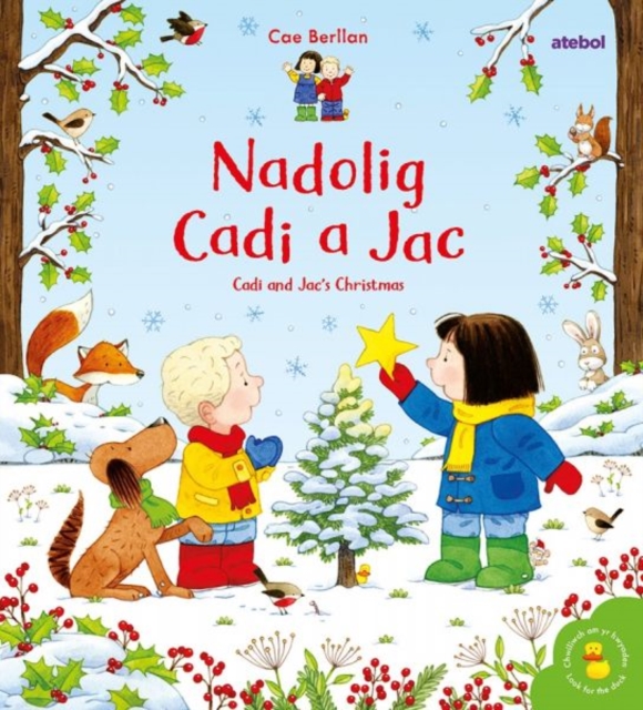 Nadolig Cadi a Jac / Cadi and Jac's Christmas, Hardback Book