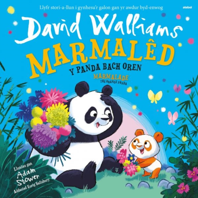 Marmaled - Y Panda Bach Oren / Marmalade - The Orange Panda, Paperback / softback Book