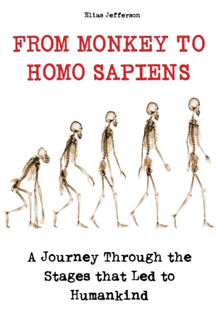 From Monkey to Homo Sapiens : A Journey Through the Stages that Led to Humankind, Paperback / softback Book