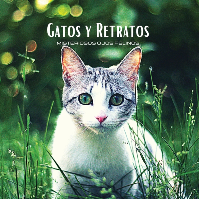 GATOS Y RETRATOS - Misteriosos Ojos Felinos : Album de fotos en color con tematica de gatos. Idea de regalo para los amantes de los animales y la naturaleza. Libro de fotos con retratos y primeros pla, Paperback / softback Book