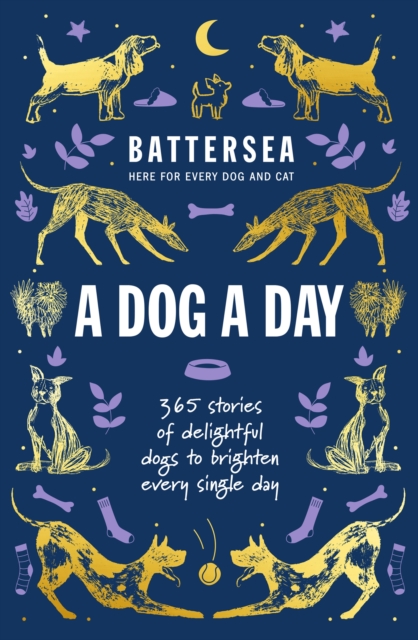 Battersea Dogs and Cats Home - A Dog a Day : 365 stories of delightful dogs to brighten every day, Hardback Book