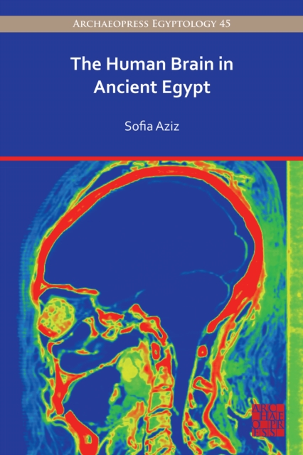 The Human Brain in Ancient Egypt : A Medical and Historical Re-evaluation of Its Function and Importance, Paperback / softback Book