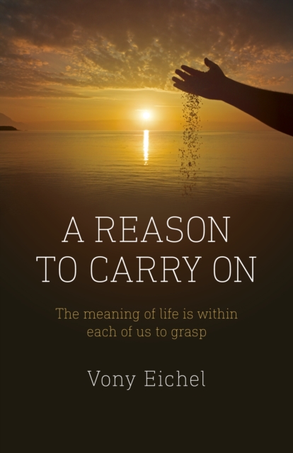 Reason to Carry On, A : The meaning of life is within each of us to grasp, Paperback / softback Book
