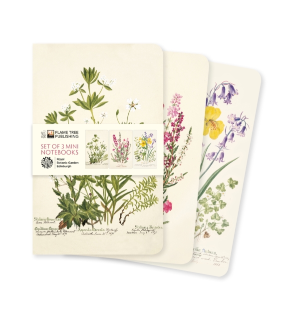 Royal Botanic Garden Edinburgh Set of 3 Mini Notebooks, Notebook / blank book Book