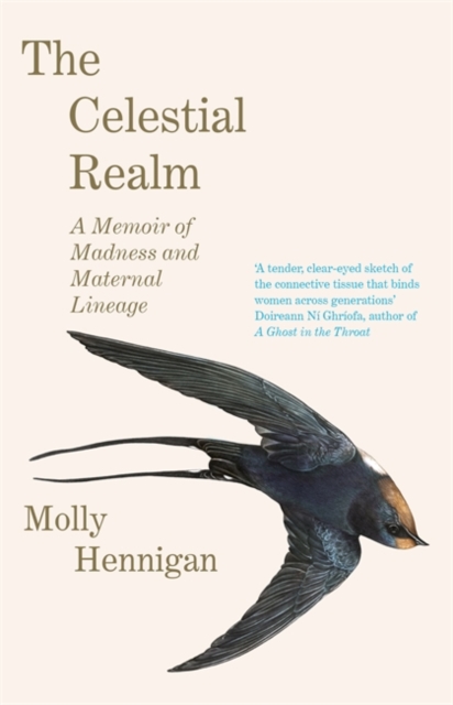 The Celestial Realm: SHORTLISTED FOR THE SUNDAY INDEPENDENT NEWCOMER OF THE YEAR IRISH BOOK AWARDS, Hardback Book