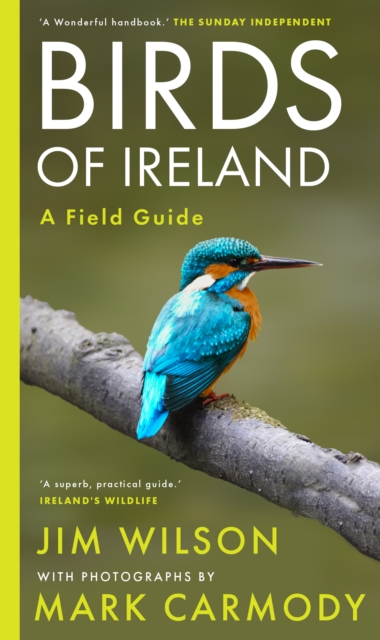 Birds of Ireland, Paperback / softback Book