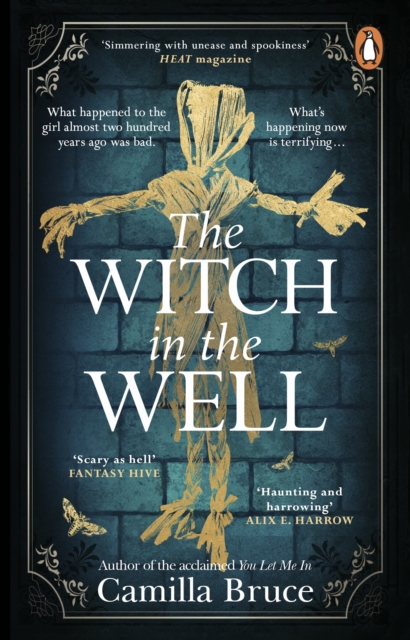 The Witch in the Well : A deliciously disturbing Gothic tale of a revenge reaching out across the years, Book The Witch in the Well : A deliciously disturbing Gothic tale of a revenge reaching out across the years, Book