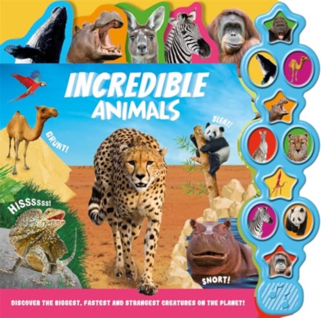 Incredible Animals, Board book Book
