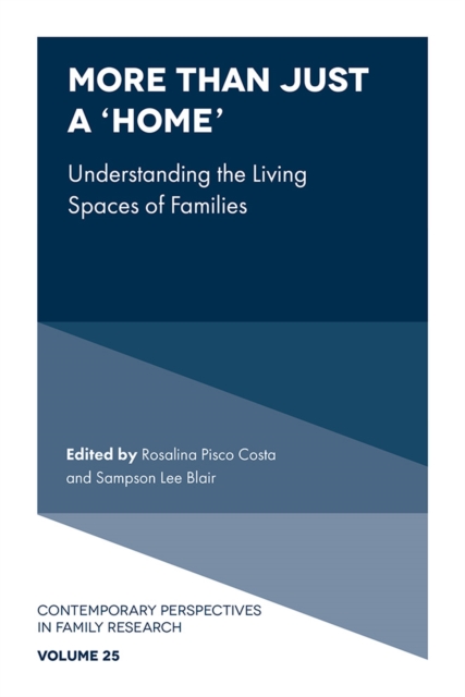 More than just a ‘Home’ : Understanding the Living Spaces of Families, Hardback Book