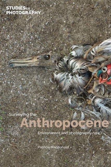 Surveying the Anthropocene: : Environment and Photography Now, Hardback Book