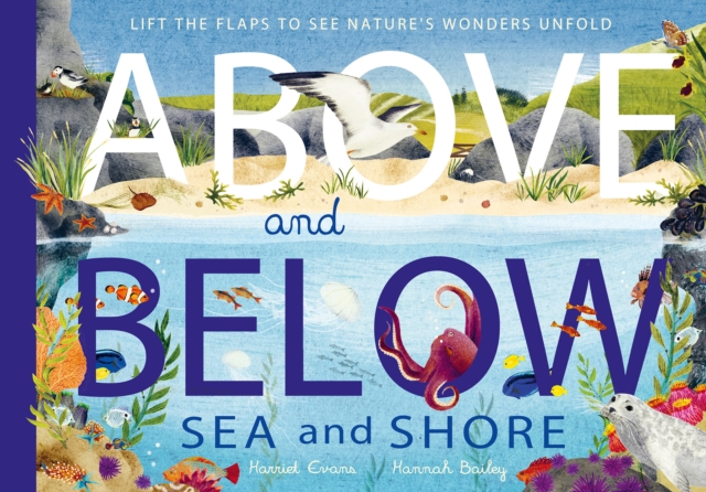 Above and Below: Sea and Shore : Lift the flaps to see nature's wonders unfold, Hardback Book